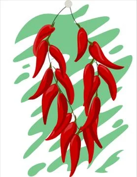 A bunch of chili pepper on a white background. Autumn harvest. Vector Stock Illustration