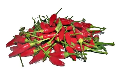 Bunch of chilies Stock Photos