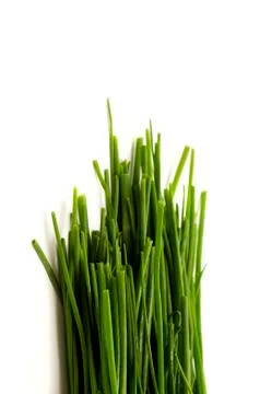 Bunch of chives Stock Photos