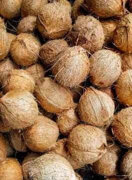 Bunch of coconut Stock Photos