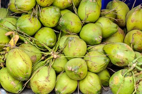 Bunch of coconuts Stock Photos