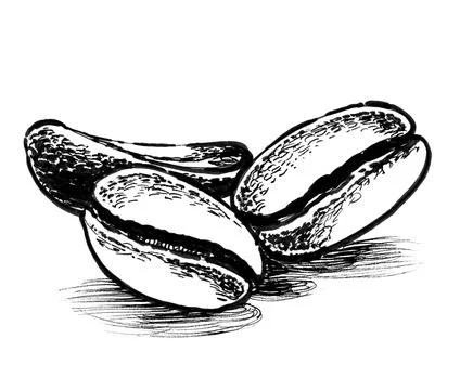 Bunch of coffee beans Illustrazione stock