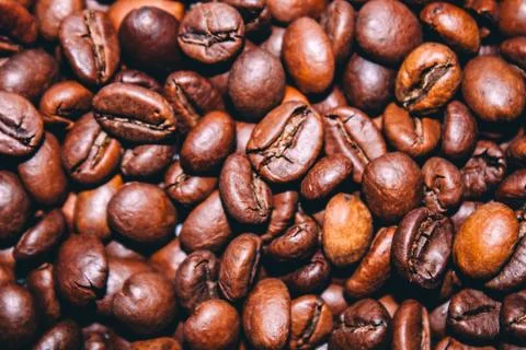 A bunch of coffee beans Stock Photos
