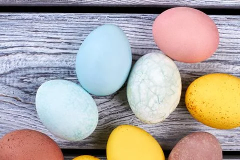 Bunch of colored eggs. Stock Photos
