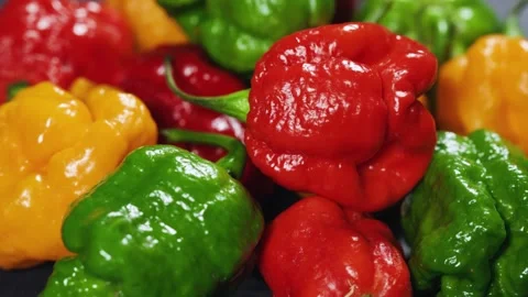 Bunch of Colorful Hot Peppers close up. Stock Footage 320467560