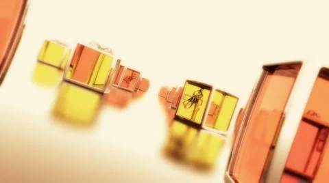 A Bunch of Crystal Box Stock Footage 950027