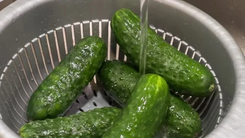 A bunch of cucumbers are in a colander Stock Footage 319955866