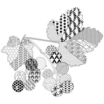 Bunch of currants Stock Illustration