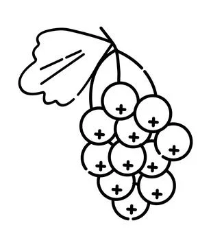 Bunch of currants simple black line icon Stock Illustration