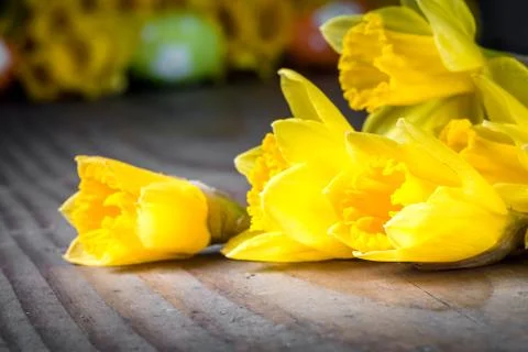 Bunch of daffodils with easter eggs for Easter Fotos Stock
