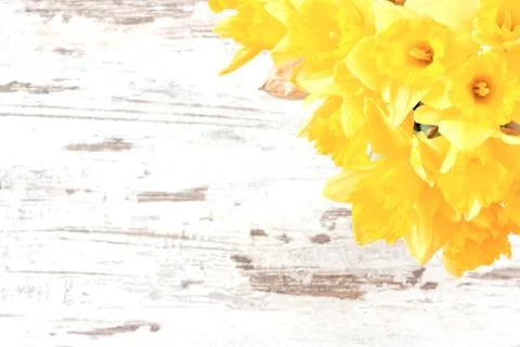 Bunch of daffodils Foto stock