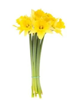Bunch of daffodils Stock Photos
