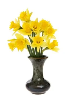 Bunch of daffodils Stock Photos