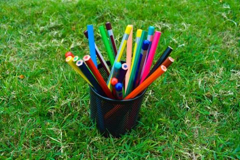 Bunch of different colored pencil crayons in a steel jar placed in fresh gree Stock Photos
