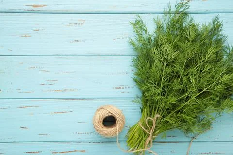 Bunch of dill on blue wooden background with space for text. Food for vegetar Stock Photos