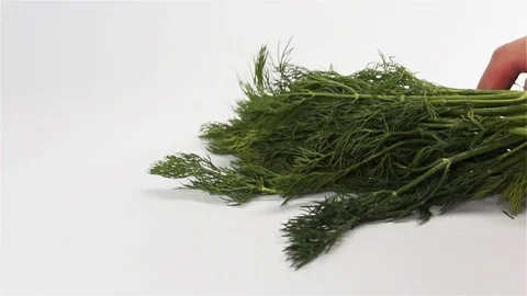 Bunch of dill fall down on white surface Stock Footage 75237560