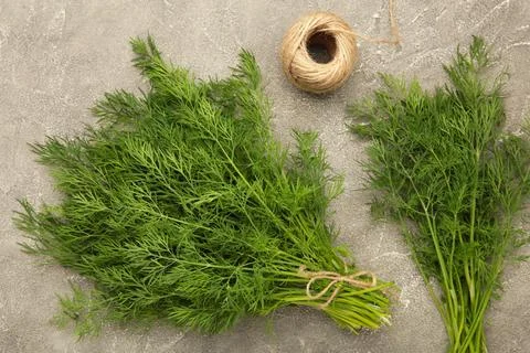 Bunch of dill on grey background. Top view. Food for vegetarians Stock Photos