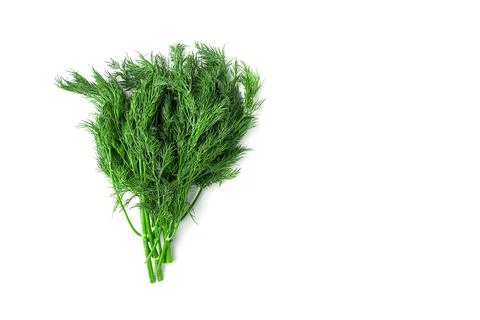 A bunch of dill on a white background. Stock Photos