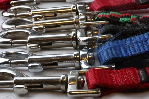 A bunch of Dog Leashes Stock Photos