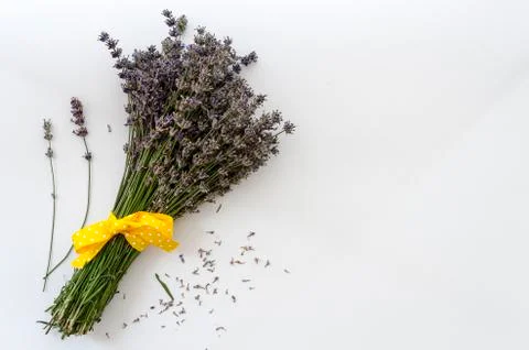 Bunch of dried lavender bundle isolated on white background Stock Photos