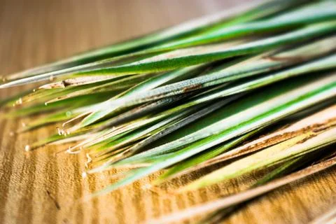 Bunch of dried palm sharp leaves kept on a wooden table Stock Photos