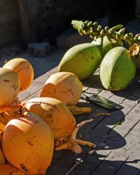 Bunch of drinking coconuts on the ground. Stock Photos