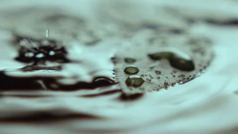 Bunch of droplets fall on leaf and make rings on water Stock Footage 231778522