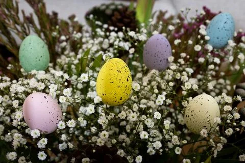 A bunch of Easter eggs are scattered throughout a field of white flowers Stock Photos