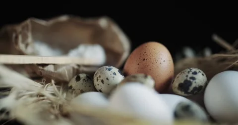 A bunch of eggs and a stick are on a table Video stock 309662592