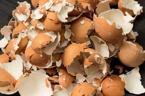 Bunch of eggshell. Eggs shell background Stock Photos