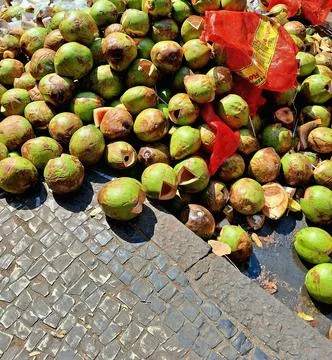A bunch of empty coconuts thrown on the ground Stock Photos