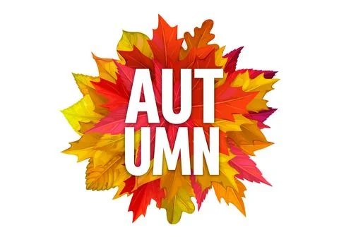 Bunch of fall leaves on Hello Autumn season banner Stock Illustration