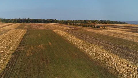 A bunch of fields filmed with a rotating drone. 스톡 동영상 113566443