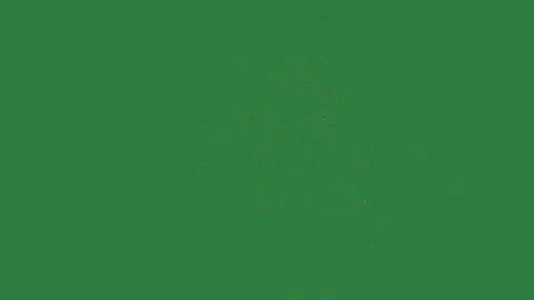 Bunch of fireworks firework Видео 336969107