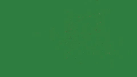 Bunch of fireworks firework isolated on green screen background 動画素材 336969117