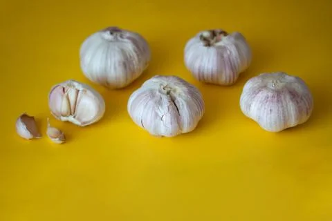 Bunch of five garlic bulbs isolated on bright yellow background Stock Photos