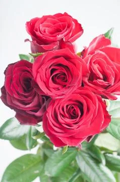 Bunch of five red roses 写真素材