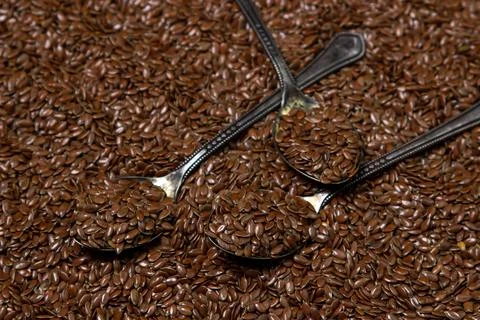 A bunch of flax seeds in full screen. Selected flax seeds. Stock Photos
