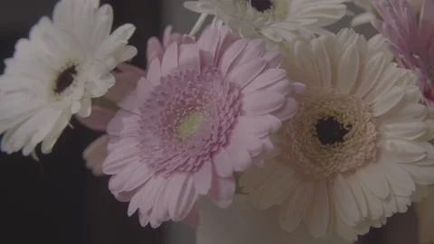 Bunch of flowers Stock Footage 170774966