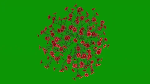 Bunch flowers green screen red animated chromakey cartoonish expression Video stock 314068078