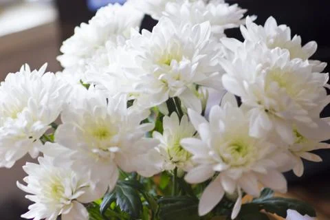 Bunch of flowers Stock Photos