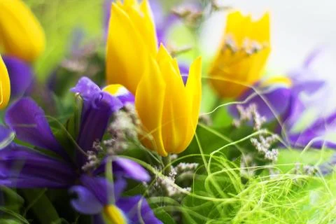 Bunch of flowers Stock Photos