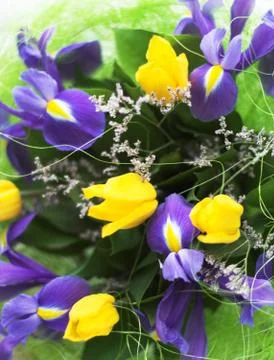 Bunch of flowers Stock Photos