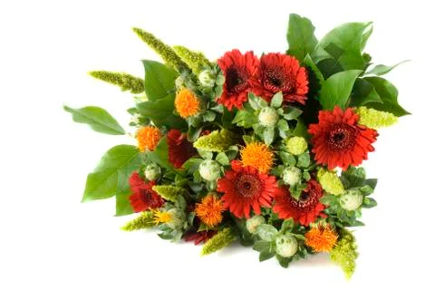 Bunch of flowers Stock Photos