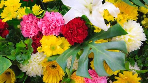 Bunch of flowers Stock Photos