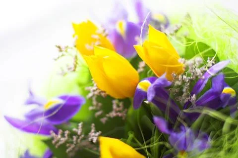 Bunch of flowers Stock Photos