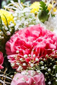 Bunch of flowers Stock Photos