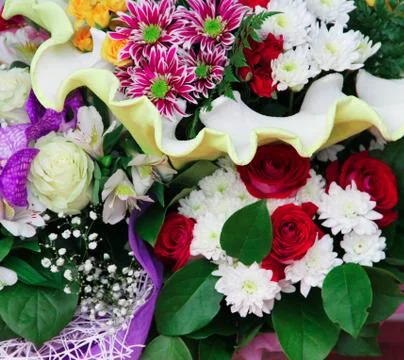 Bunch of flowers Stock Photos