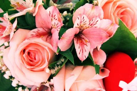 Bunch of flowers Stock Photos