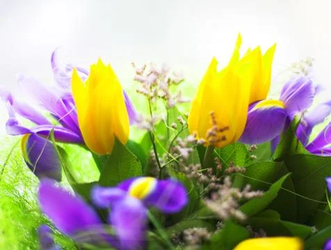 Bunch of flowers Stock Photos